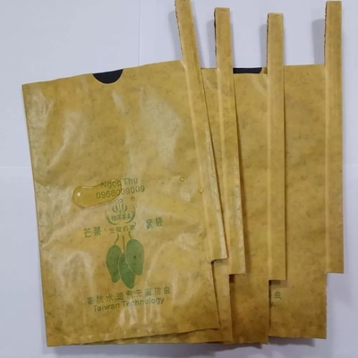 Mango Meyve Kraft Kağıt Torba Yapma Makinesi 3KW Otomatik